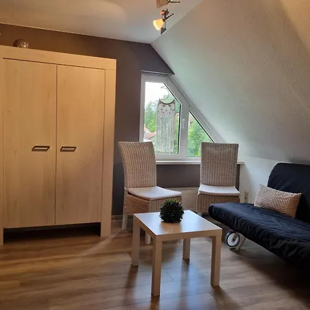 Kallenbach Apartmán *